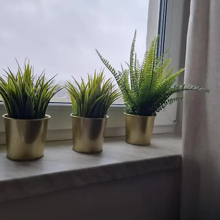 Pastelowe, Suntago, Deepspot,