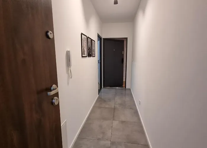 Pastelowe, Suntago, Deepspot, * 姆什乔努夫