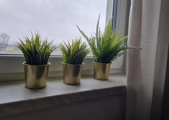 Pastelowe, Suntago, Deepspot,